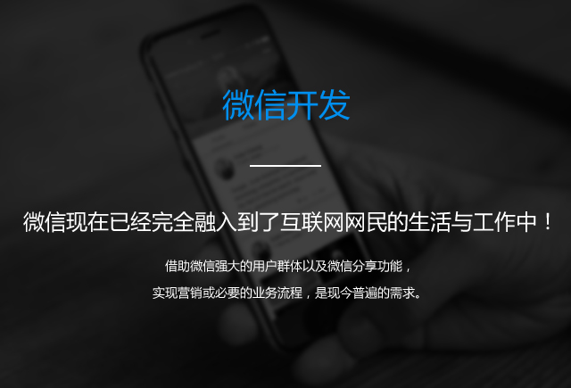 大尚网络网站建设、大尚网络软件开发